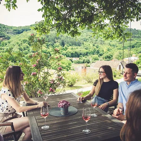 فندق Cabernet Villánykövesd