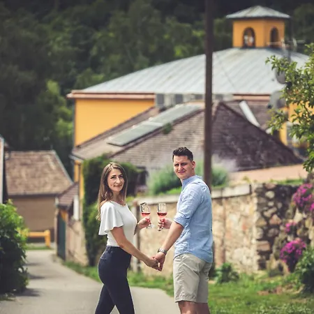 Szálloda Cabernet Villánykövesd